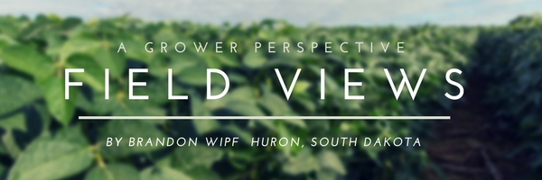 Field Views- Brandon Wipf